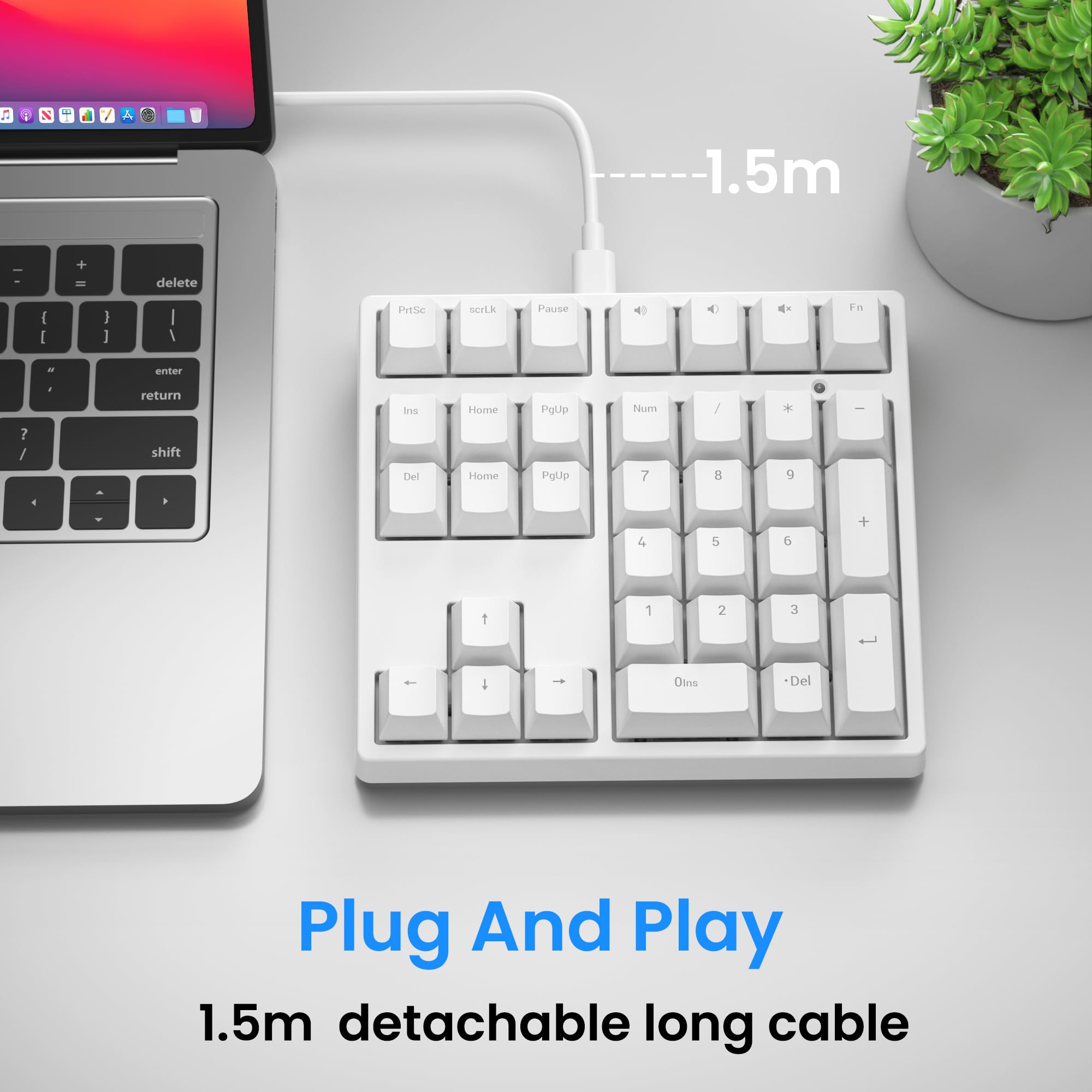 Gurjot Tastiera numerica meccanica, tastierino numerico a 34 tasti cablato USB, tastiera meccanica retroilluminata RGB anti-ghosting per laptop desktop, inserimento dati contabili Excel