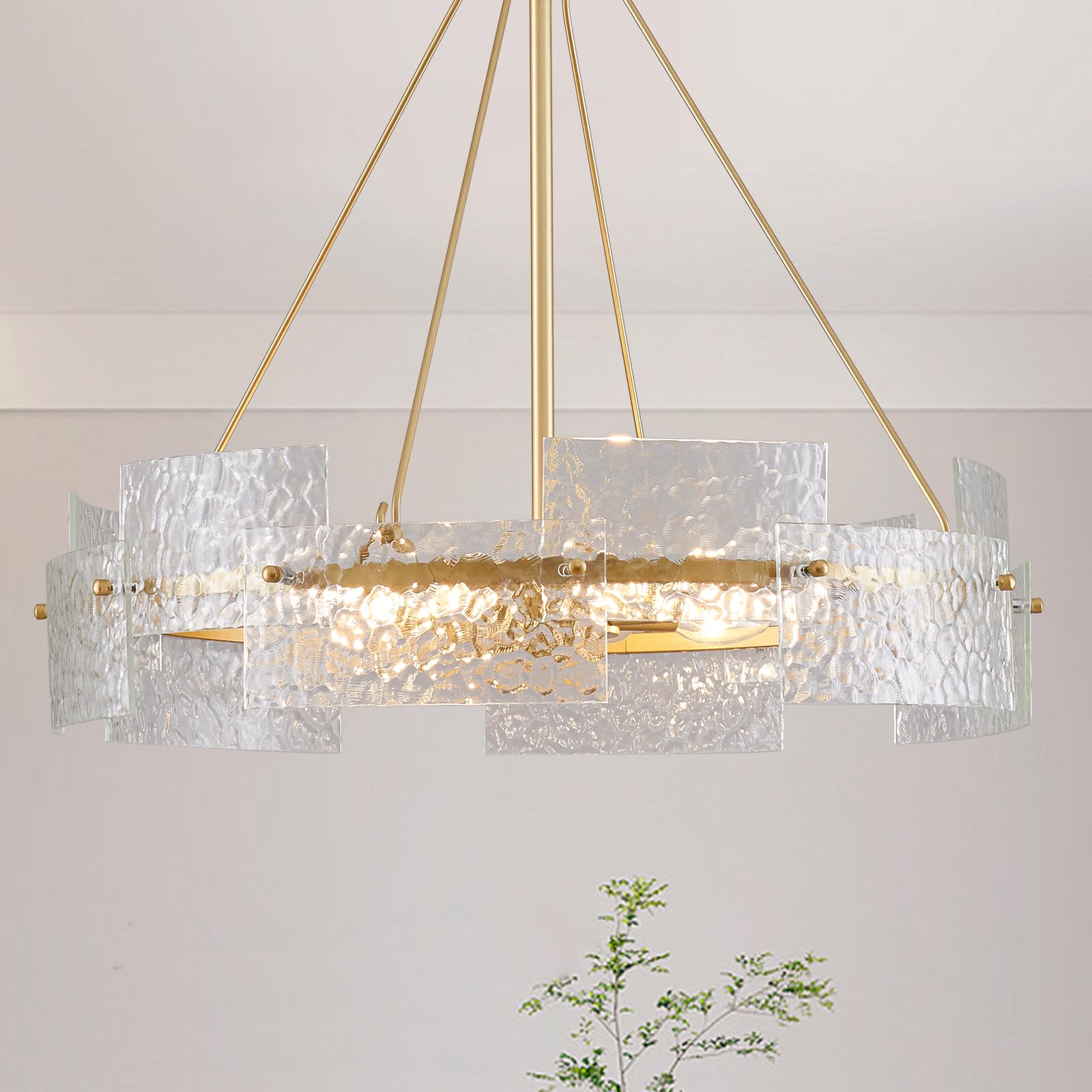 マウル　Q Denken Gold Q – mowl