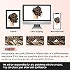 Product Photo 5