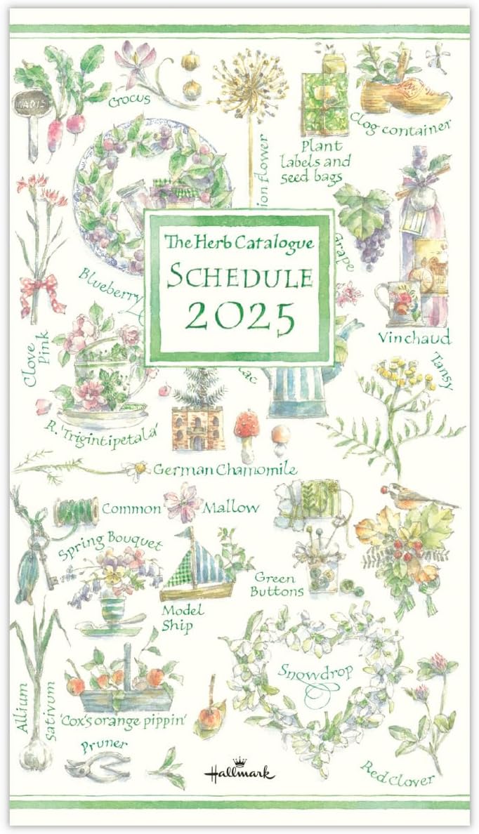 Nippon Hallmark 835-040 2025 Slim, Monthly Notebook, 835-040 (Begins October 2024)