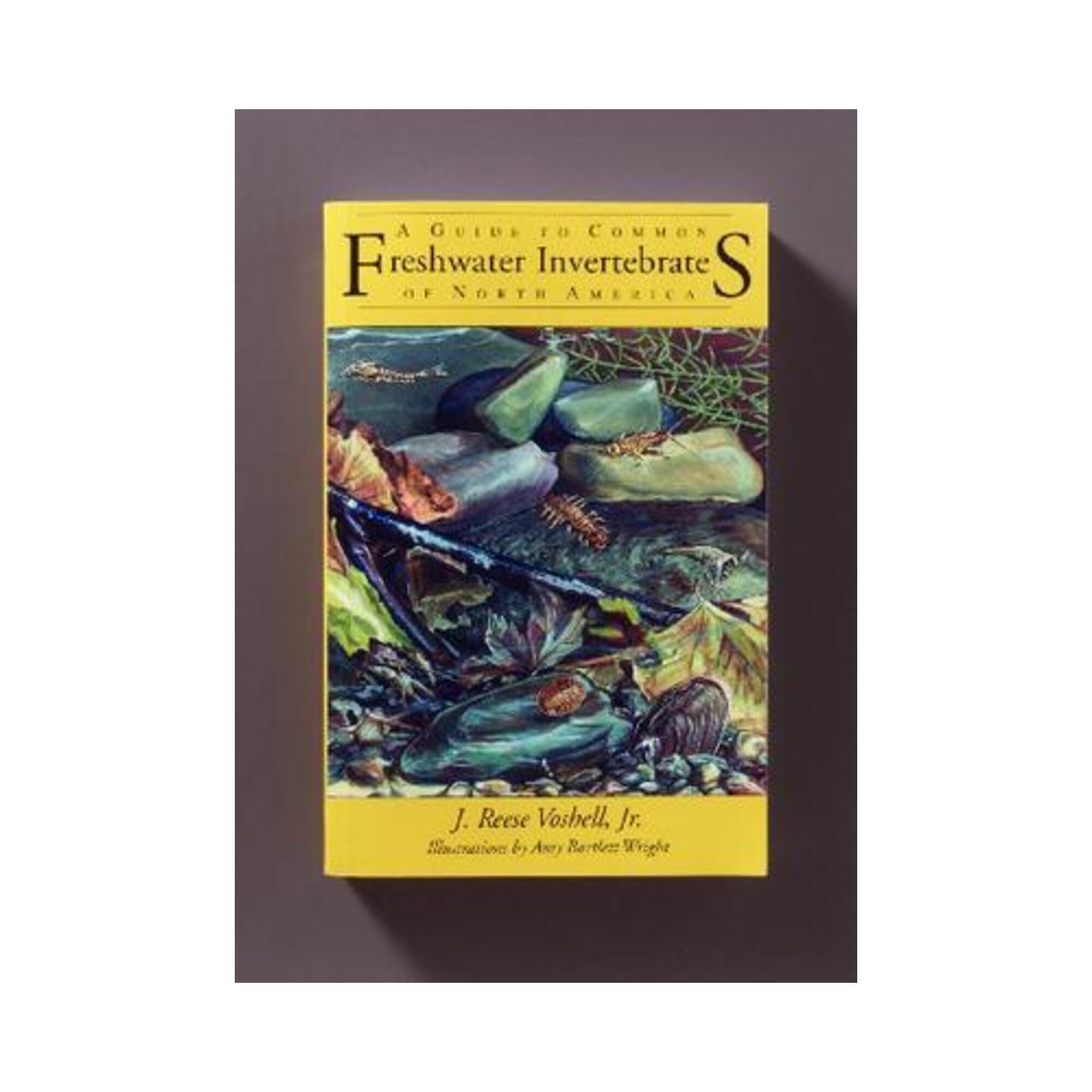 A Guide to Common Freshwater Invertebrates of North America
