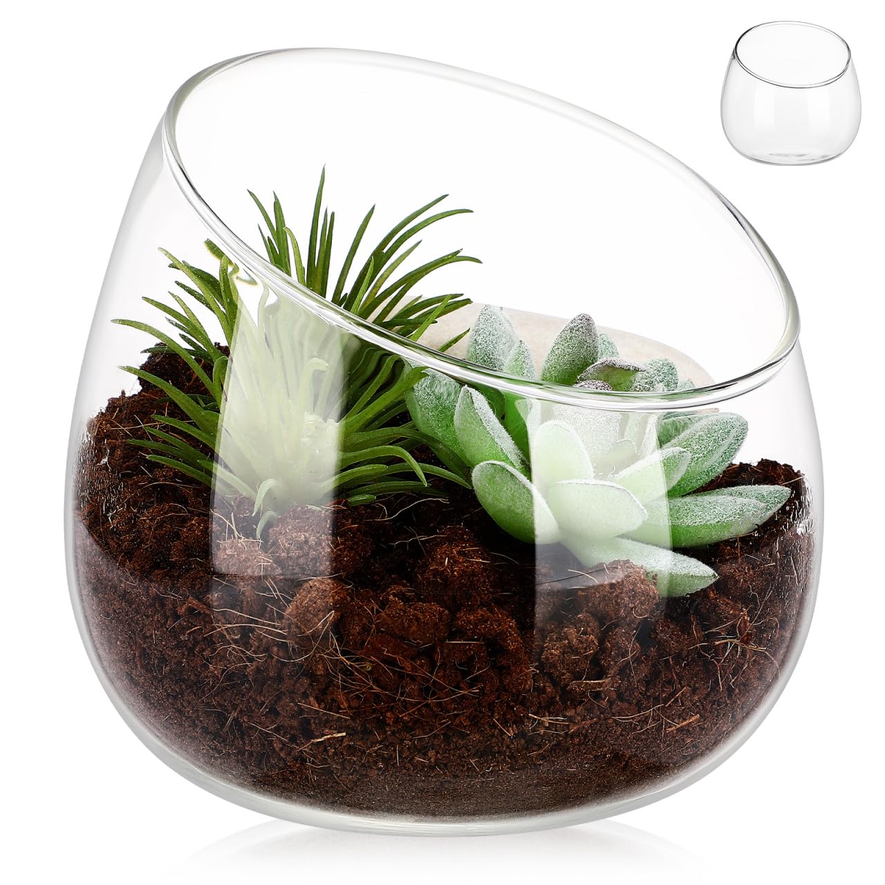 BESTonZON Glass Terrarium Planter and Small Flower Vase for Indoor Succulents Slant Cut Glass Bowl Decorative Moss Pot for Home Office Centrepiece 11cm x 10cm x 12cm