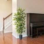Warmplants Arbre de bambou artificiel, 6ft Plante de bambou avec planter blanc, faux arbres avec 5 Trunks et les feuilles de vie pour intérieur extérieur Home Office Décor