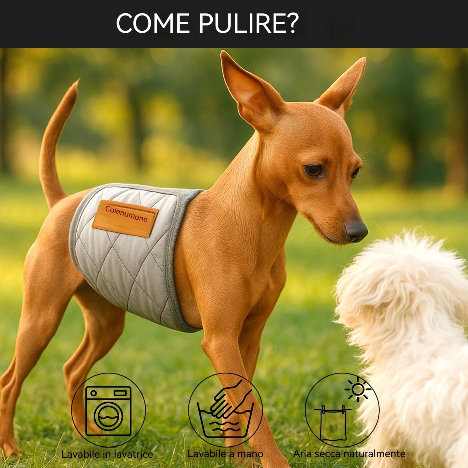 5 confezioni di pannolini lavabili e riutilizzabili per cani, fasce per pancia per cani maschi, fasce ultra-assorbenti trapuntate a prova di perdite per addestramento e incontinenza, 5