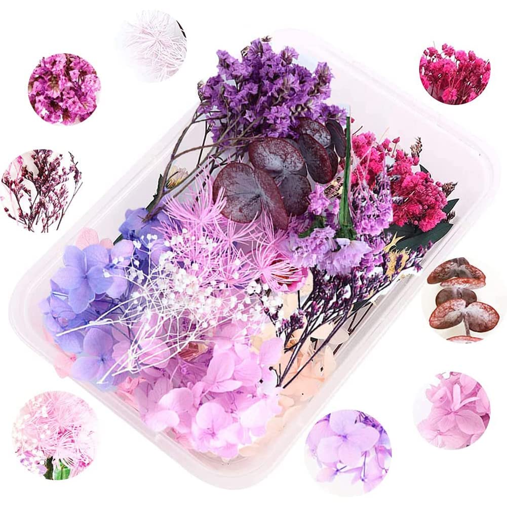 iDattel Natuurlijke gedroogde bloemen, natuurlijke gemengde bloemen, doe -het-zelf natuurlijke gedroogde bloemen, set voor kunst, knutselen, doe-het- zelf, hars, scrapbooking, handwerk, kaarten maken