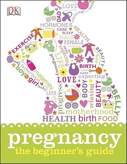 Pregnancy: The Beginner's Guide