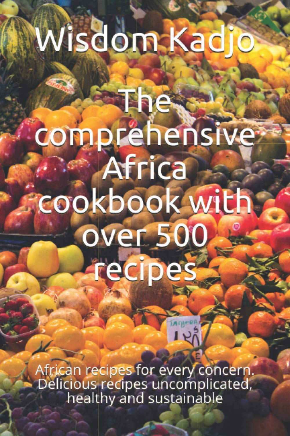 The comprehensive Africa cookbook with over 500 recipes: African recipes for every concern. Delicious recipes uncomplicated, healthy and sustainable