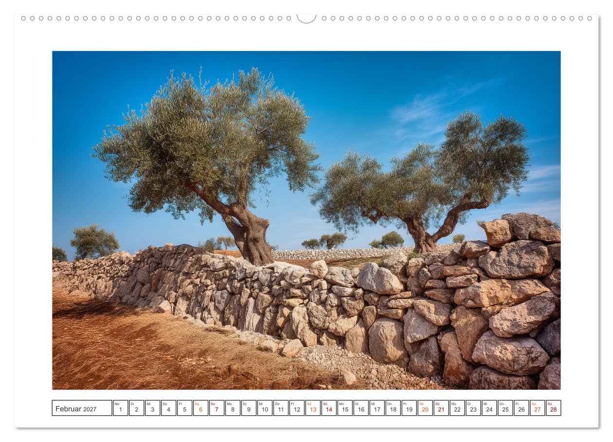 Die Magie der Olivenhaine (hochwertiger Premium Wandkalender 2027 DIN A2 quer), Kunstdruck in Hochglanz: Silbergrüne Olivenhaine, warmes Licht und die ... dich durch das Jahr. (CALVENDO Natur)