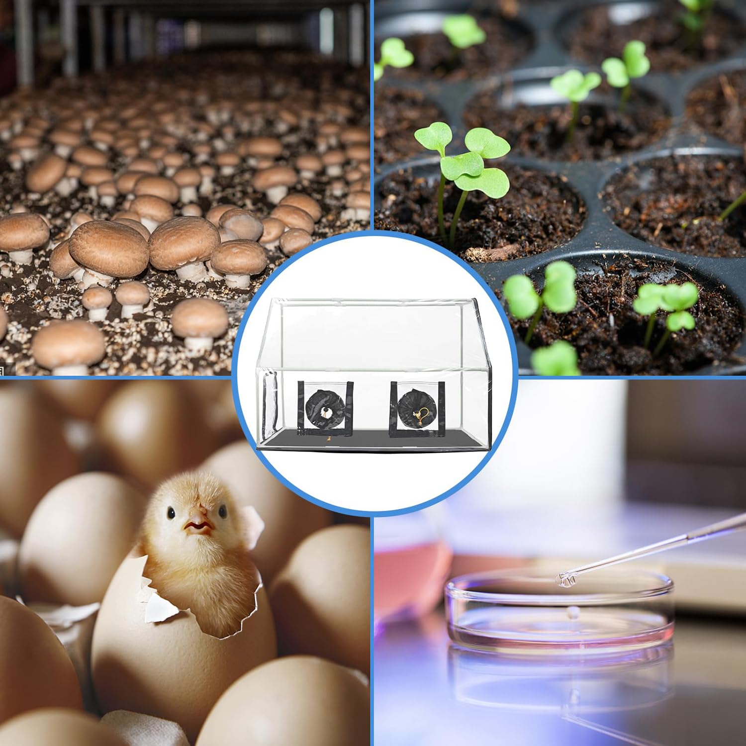 Still Air Box Micologia dei Funghi, Kit Monotubo per Funghi Portatile con 2 Spruzzatore e Termometro, Tenda per Sacco per Piantare Funghi, Stazioni di Propagazione con Cappa Fumata per Crescita