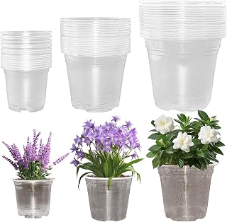 45 PCS Macetas Transparentes para Orquídeas