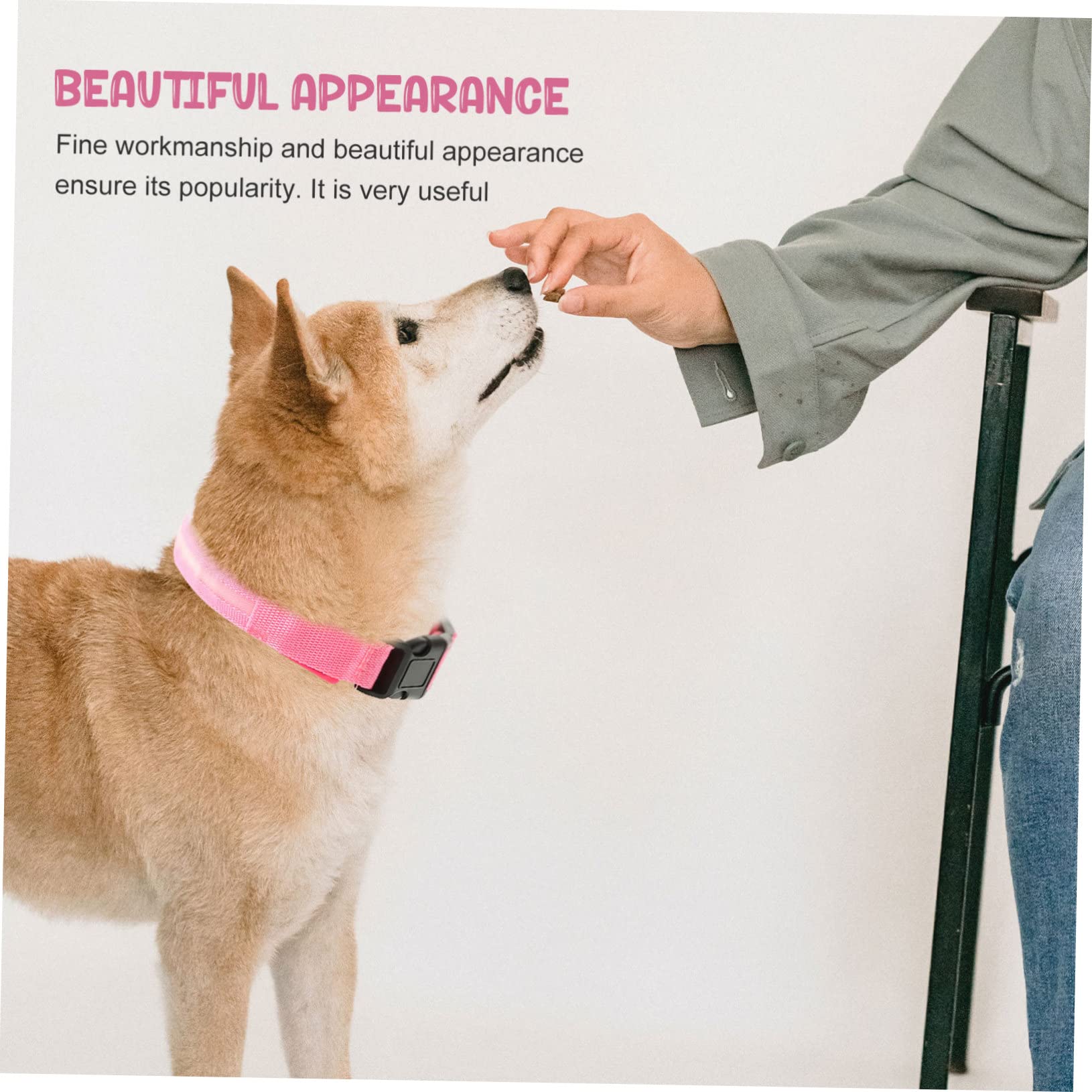 INOOMP 4 Set Collare Per Cani Collana Led Cane Colletto Luminoso Collare Per Cucciolo Collari Per Cuccioli Per Cuccioli Piccoli Sicurezza Rosa Poliestere Gatto Domestico Serigrafia