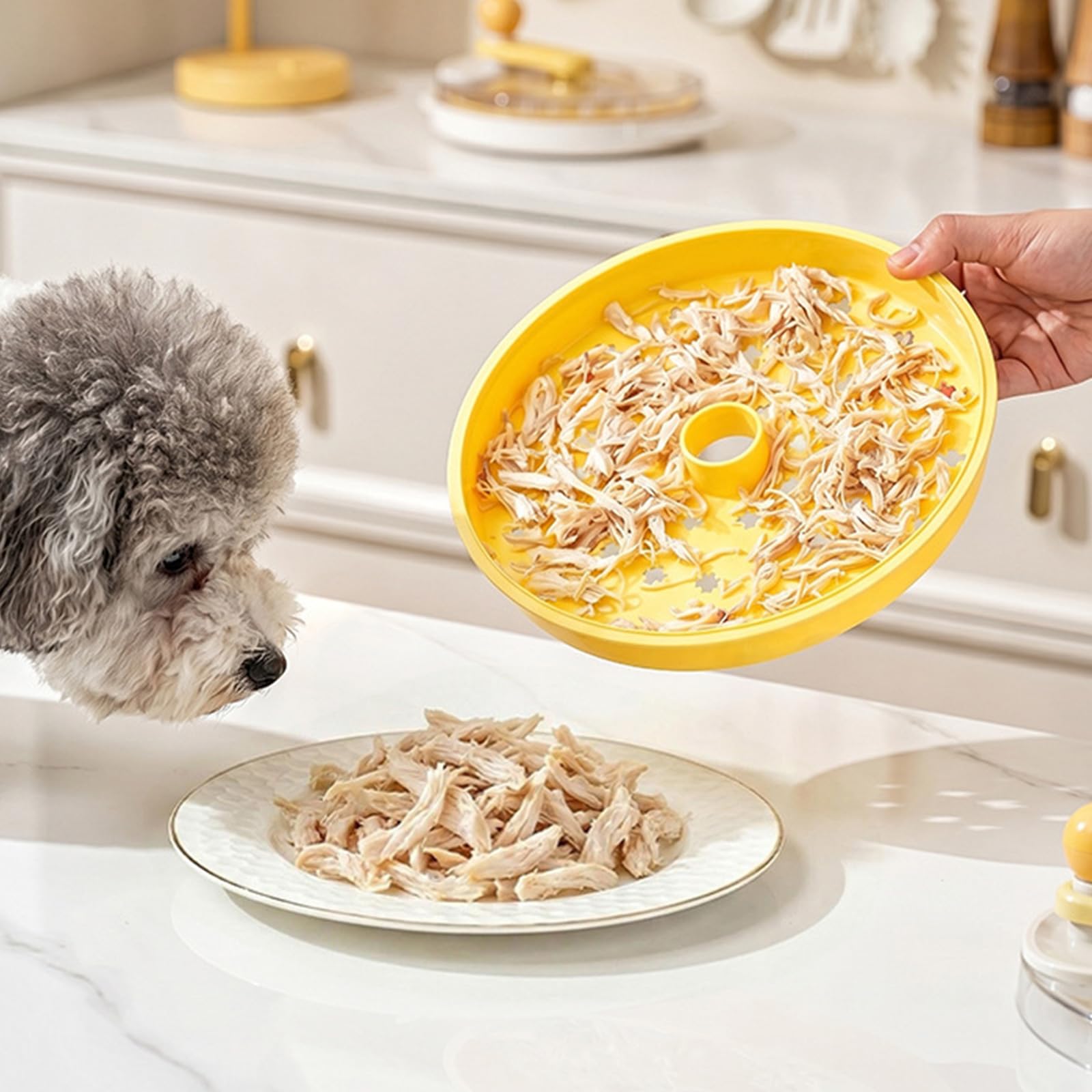I trituratori Portatili rotanti Strisce Carne Uniformi per Le diete degli Animali Domestici Alimenti per Bambini e Esigenze Cucina utilizzando Un meccanismo Semplice Macchina per Alimenti
