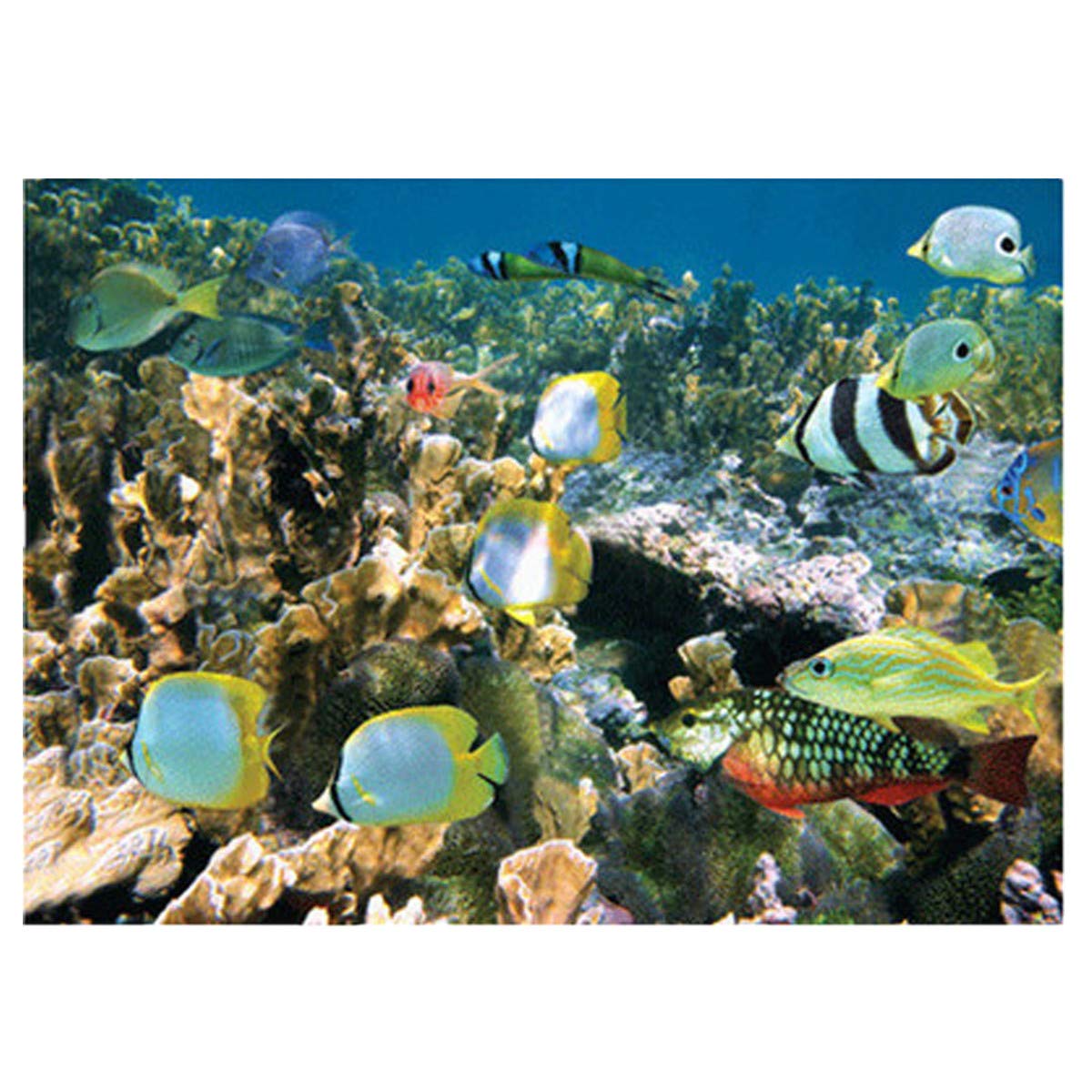 1000 Pieces Jigsaw Puzzles for Adults Kids, 3D Ocean World Paintings, Intelligence Entertainment Toys Gift for Adult, 75x50cm