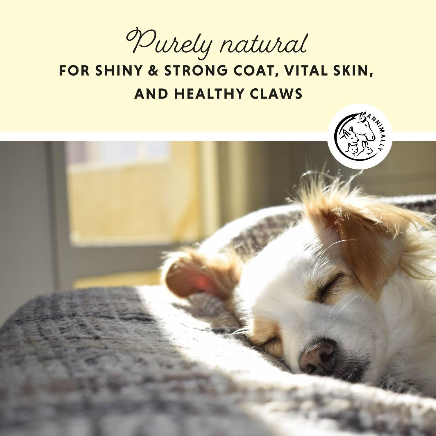 Brewers Yeast for Dogs, 100% Pure Brewers Yeast Tablets (100 Tablets), Supports Shiny Coat, Healthy Skin & Reduces Shedding - Image 2