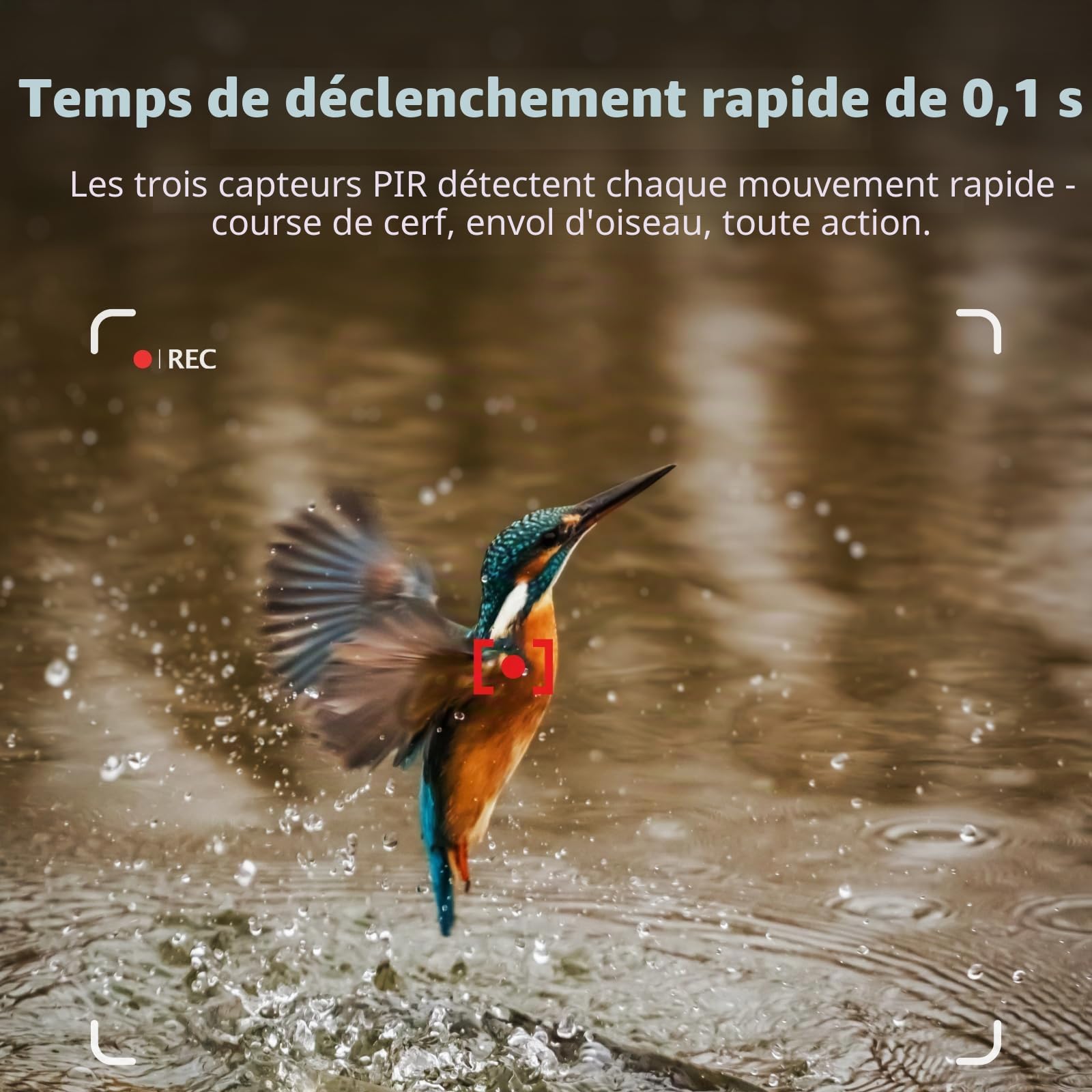 BLAZEVIDEO WiFi Caméra de Chasse 64MP 1296P Bluetooth Camera de Surveillance IP66 Étanche avec Vision Nocturne Infrarouge, Détecteur de Mouvement, Grand Angle 120° et Contrôle APP, pour l'extérieur