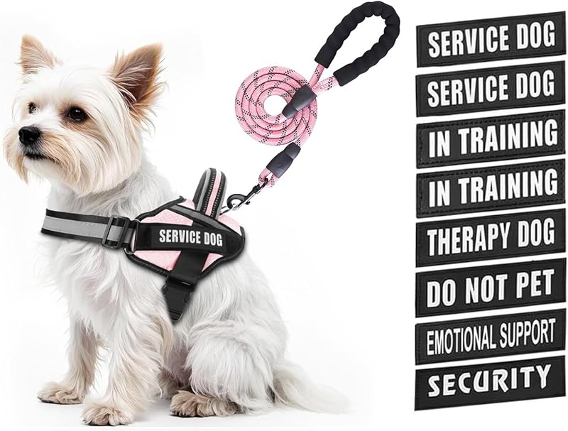 Peitoral Vest para Cães em Treinamento Animire com Guia Refletiva e 8 Adesivos, XXS