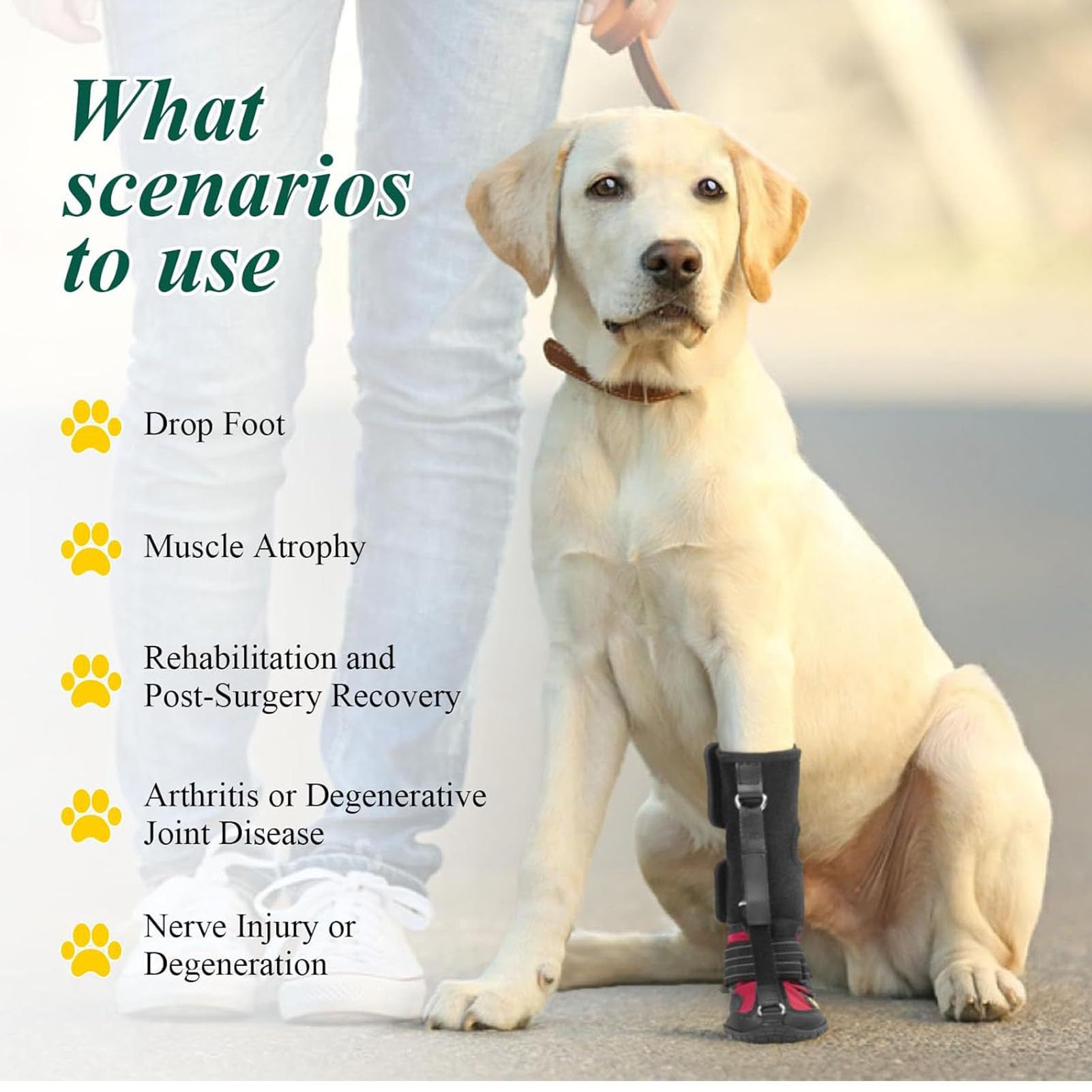 SENECESLI Attelle de Pied Tombante avec Bobine pour Chien, Attelle de Pied de Chien Respirante avec Semelle Antidérapante pour Problèmes de, Arthrite, Chaussette Hautement élastique (M)