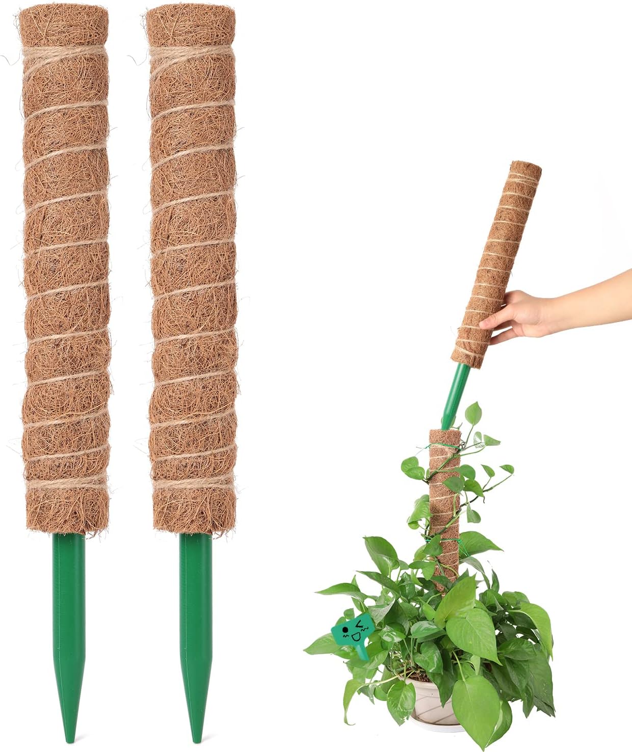 Monbessi 2 Stück 42cm Moosstab Pflanzstab Kokos, Rankhilfe