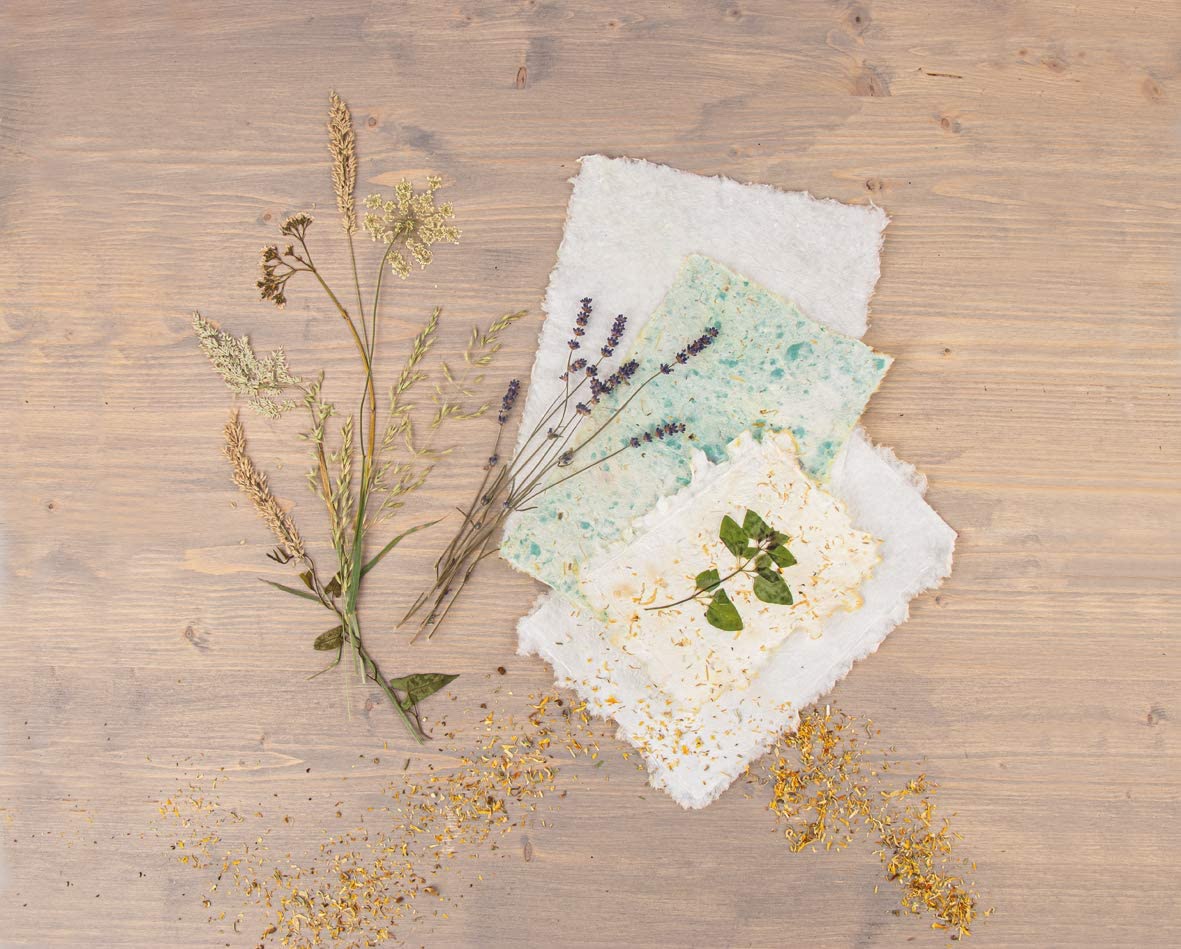 Rayher Ramka na papier, naturalna, 30 x 21 cm, nadaje się do papieru o wymiarach do 25 x 16 cm, 27001505