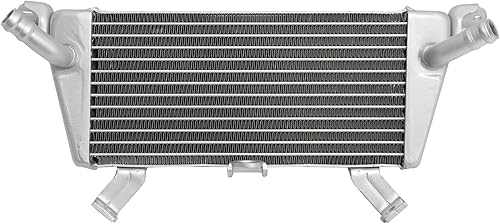 Miniatura 8 de TCT-MOTORPARTS Radiador de refrigeración para enfriador de aceite para BMW S1000XR 2020-2025 2022 S1000R 2021-2025