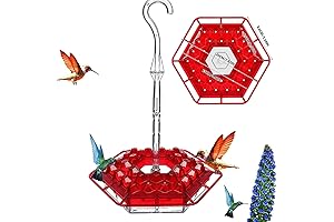 2024 Mary's Hummingbird Feeder: 30 Ports with Built-In Ant Moat