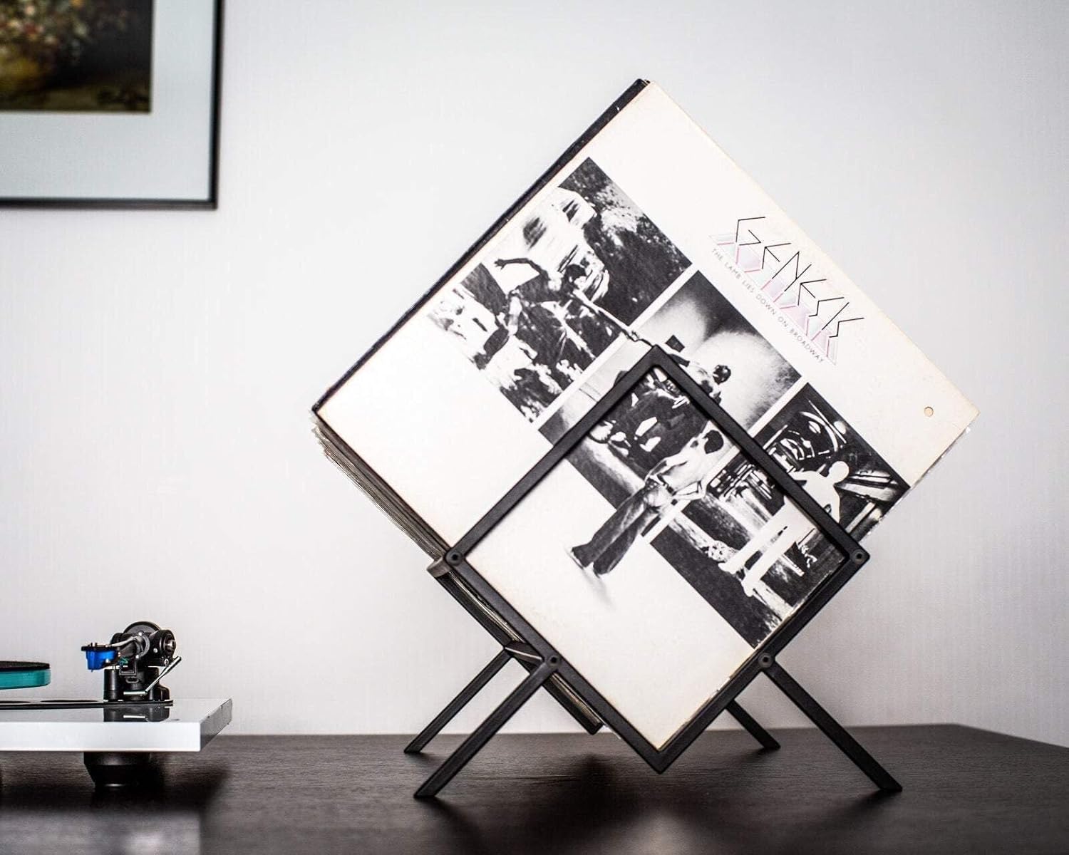 Urban Digs Vinyl Record Storage & Book Display Stand.