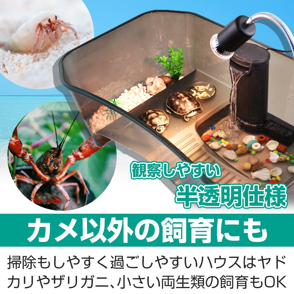 Amazon | 亀ハウス 水槽 日向ぼっこ台完備 浮島 傾斜滑り止め付き 給餌