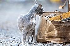 Review Image by alraz alraz