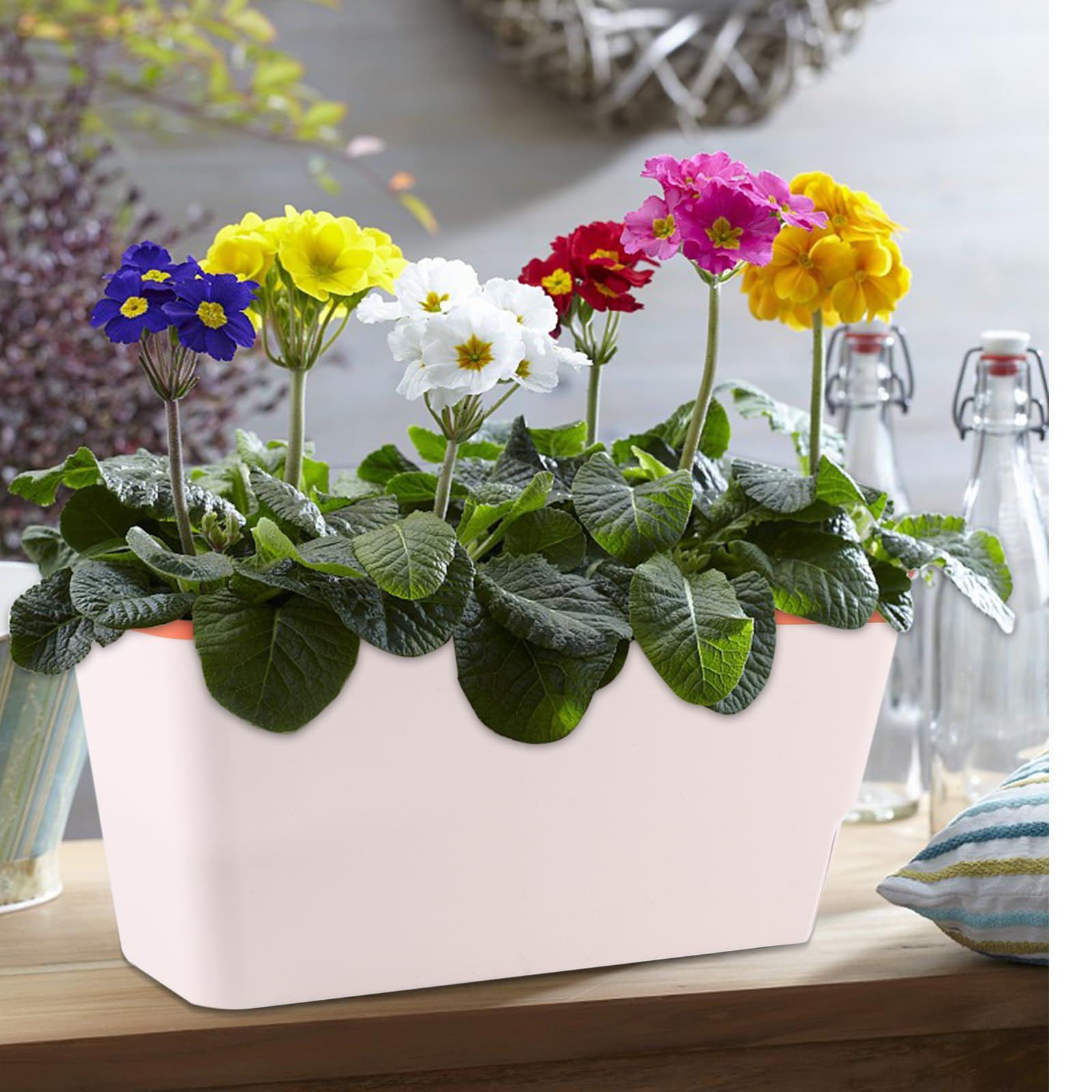 Lot de 6 jardinières d'intérieur pour rebord de fenêtre