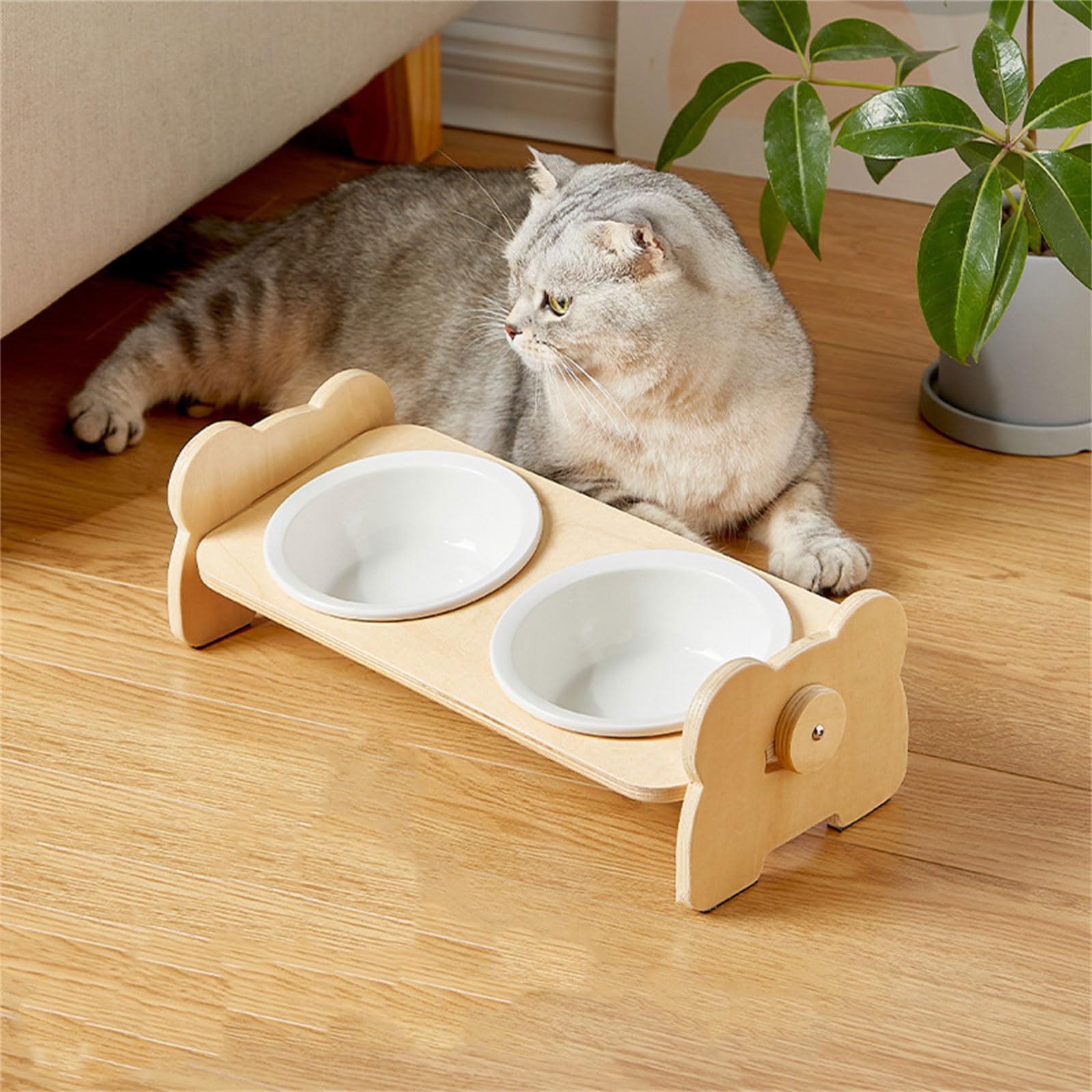 Ciotole per animali domestici Ciotola anti-vomito per gatti piccoli gattini Alimentatore di cibo Dispenser di acqua Forniture per irrigazione Antiscivolo Alimentazione per animali