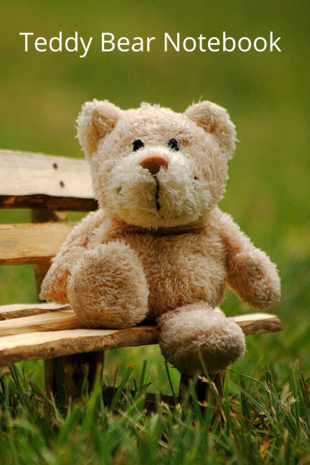 Teddy bear Notebook (120 Lined pages)
