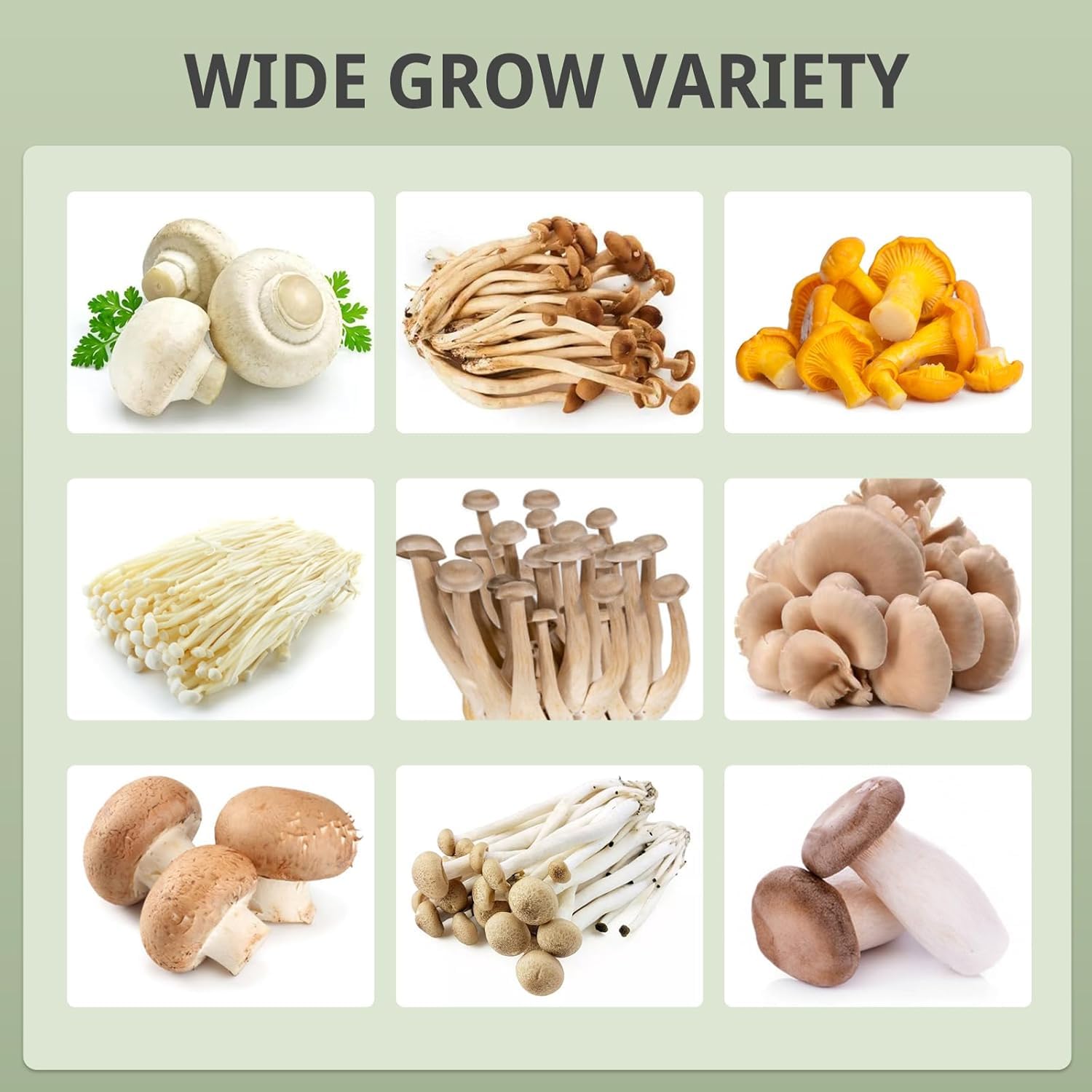 Kit De Cultivo De Setas De Interior Incluye Luz para Cultivo De Hongos. Sistema De Aire Fresco, Temperatura HumidificacióN AutomáTica para Hongos Shiitake
