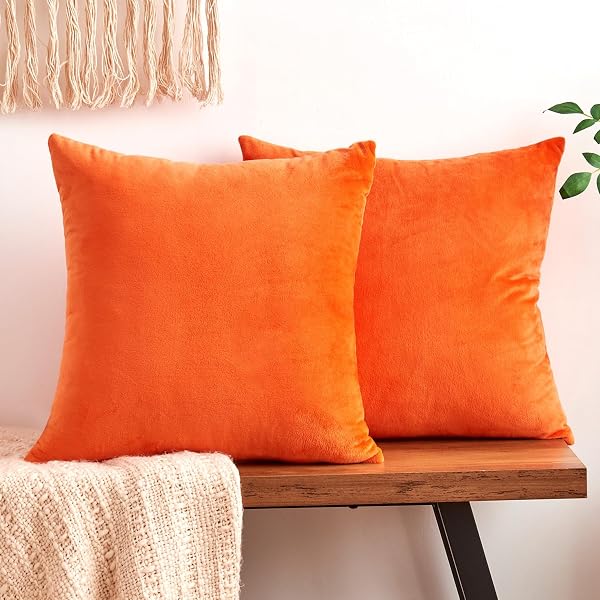 Fall Orange Velvet decorative pillow