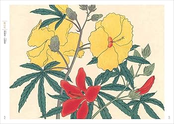 新装版 四季の花(下巻) | 酒井 抱一, 鈴木 其一, 中野 其明 |本