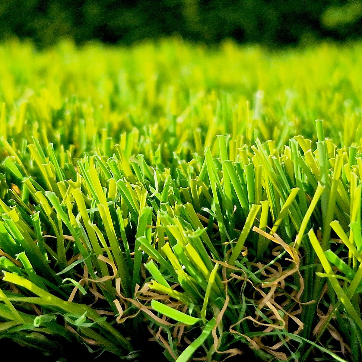 Gazon synthétique 35 mm rouleau 2x3 m (6 m²) – Fibres bicolores effet naturel haut réalisme – Idéal jardin moderne, contour piscine et terrasse urbaine – MGS