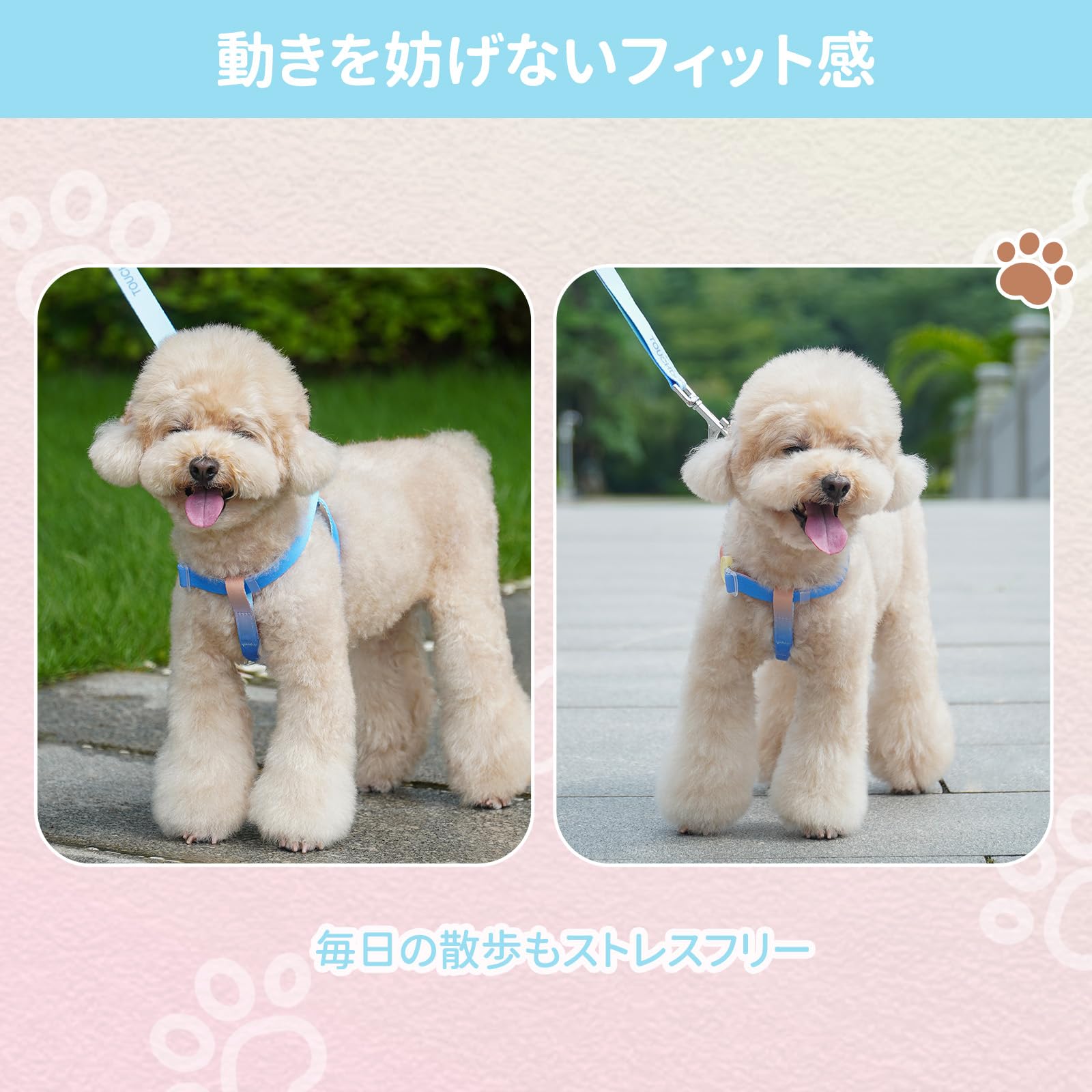 Amazon | TOUCHDOG 犬用ハーネス＆リードセット 小型犬・中型犬対応 Y
