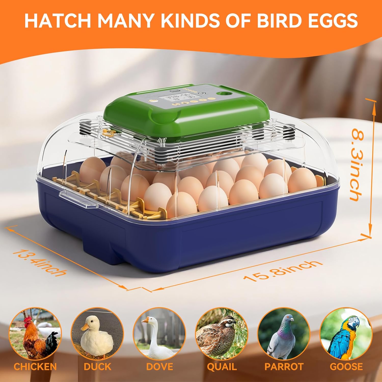 25 Egg Incubator with Automatic Turner, Digital Temperature & Humidity Control, Built-in Egg Candler, External Water Refill, for Hatching Chicken, Duck,Goose, Home, School Use