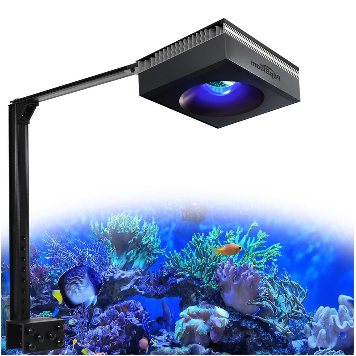 PopBloom RL90 WiFi Led Aquarium Light 100W, APP Smart Control Marine Tank Lighting Full Spectrum for Saltwater SPS/LPS Coral Fish Tanks