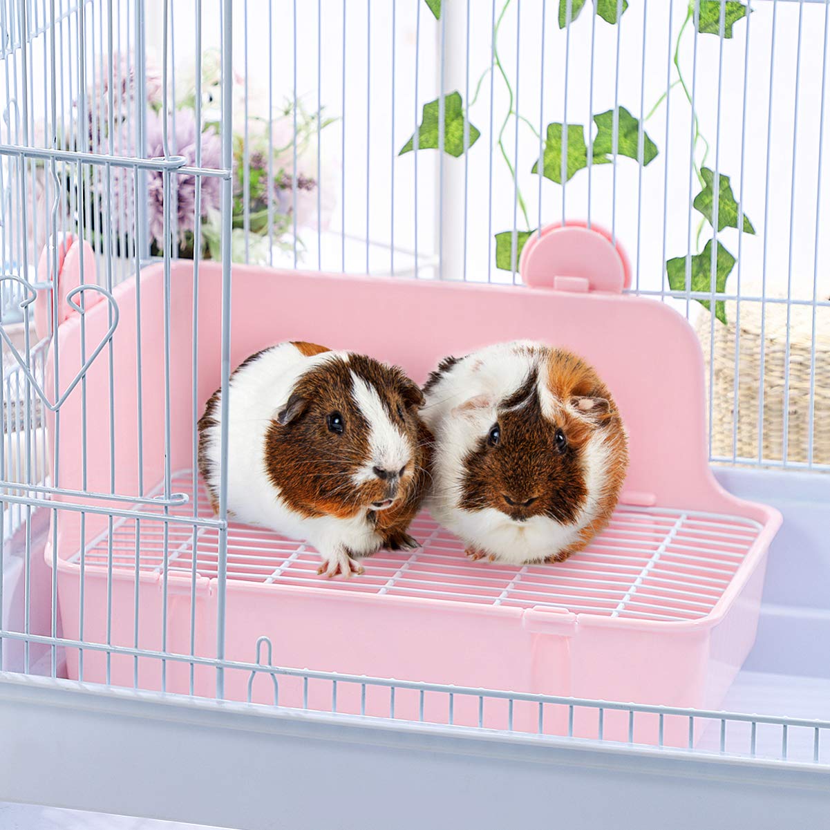 POPETPOP Kaninchen Toilette - Ecktoilette Kleintier Katzentoilette Toilette kleines Haustier Katzenklo Töpfchen mit Gitte für Kleintiere/Kaninchen/Meerschwein/Galasaur/Frettchen