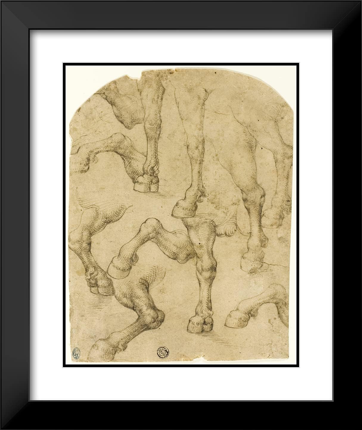 ArtDirect Leonardo Da Vinci 20x24 Black Modern Framed and Double Matted Art Print Titled Sketches of Horses' (or Dromedaries') Legs (Recto); Columns (Verso)