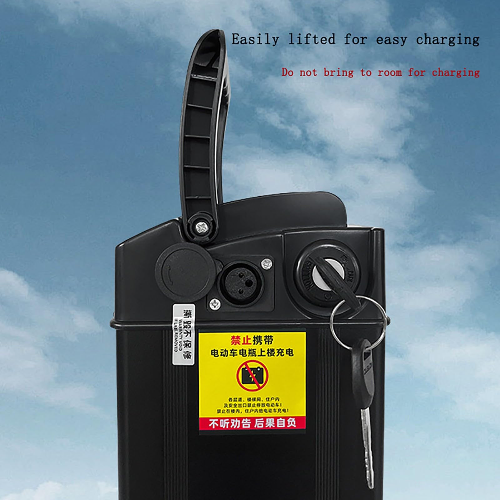 E-Bike Pedelec Batteria 48V Batteria al litio ricaricabile 6Ah-35Ah con protezione BMS Batteria ad alta potenza Motore elettrico Bicicletta Scooter 48V,20AH
