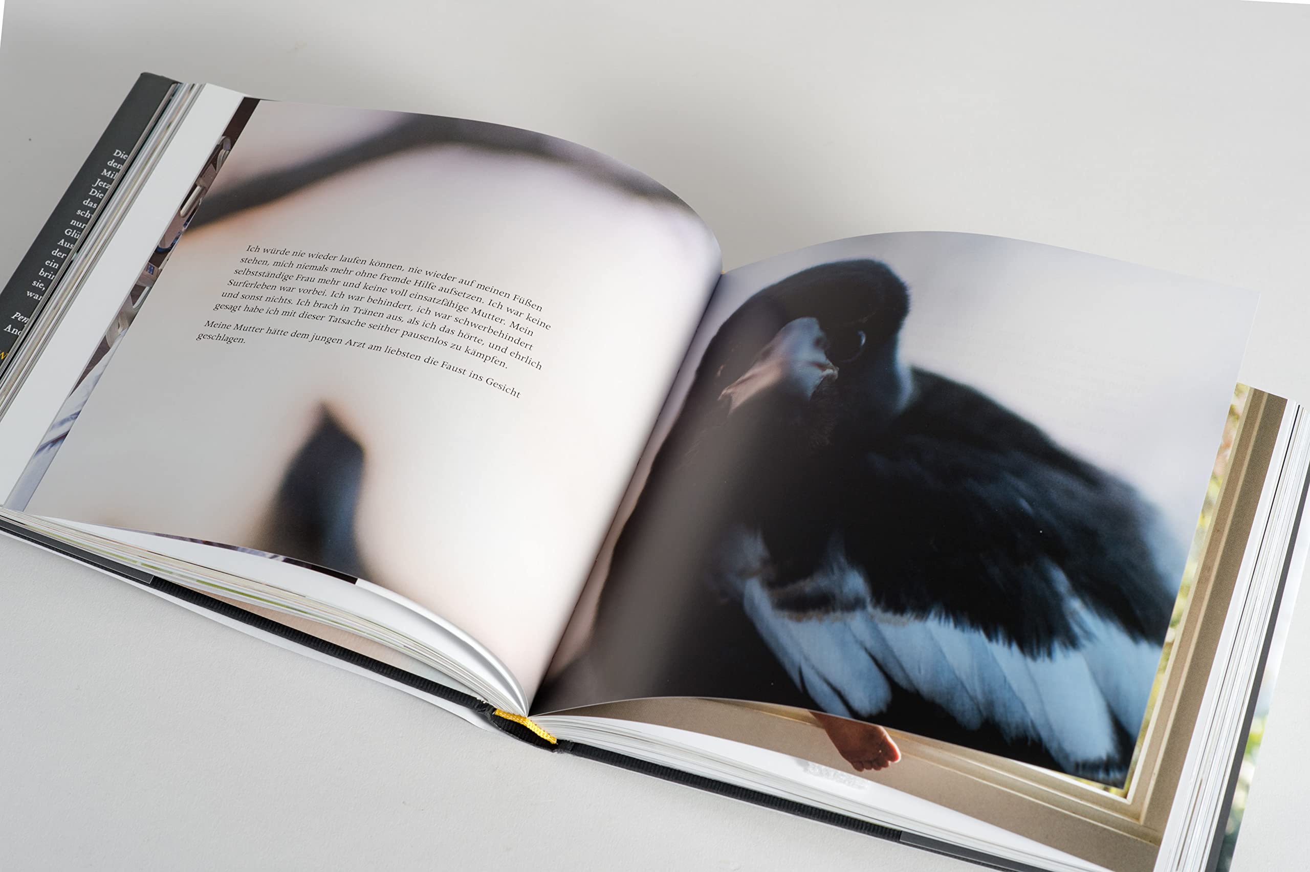 Wieder fliegen lernen: Meine Geschichte - Mit Fotografien von Cameron Bloom