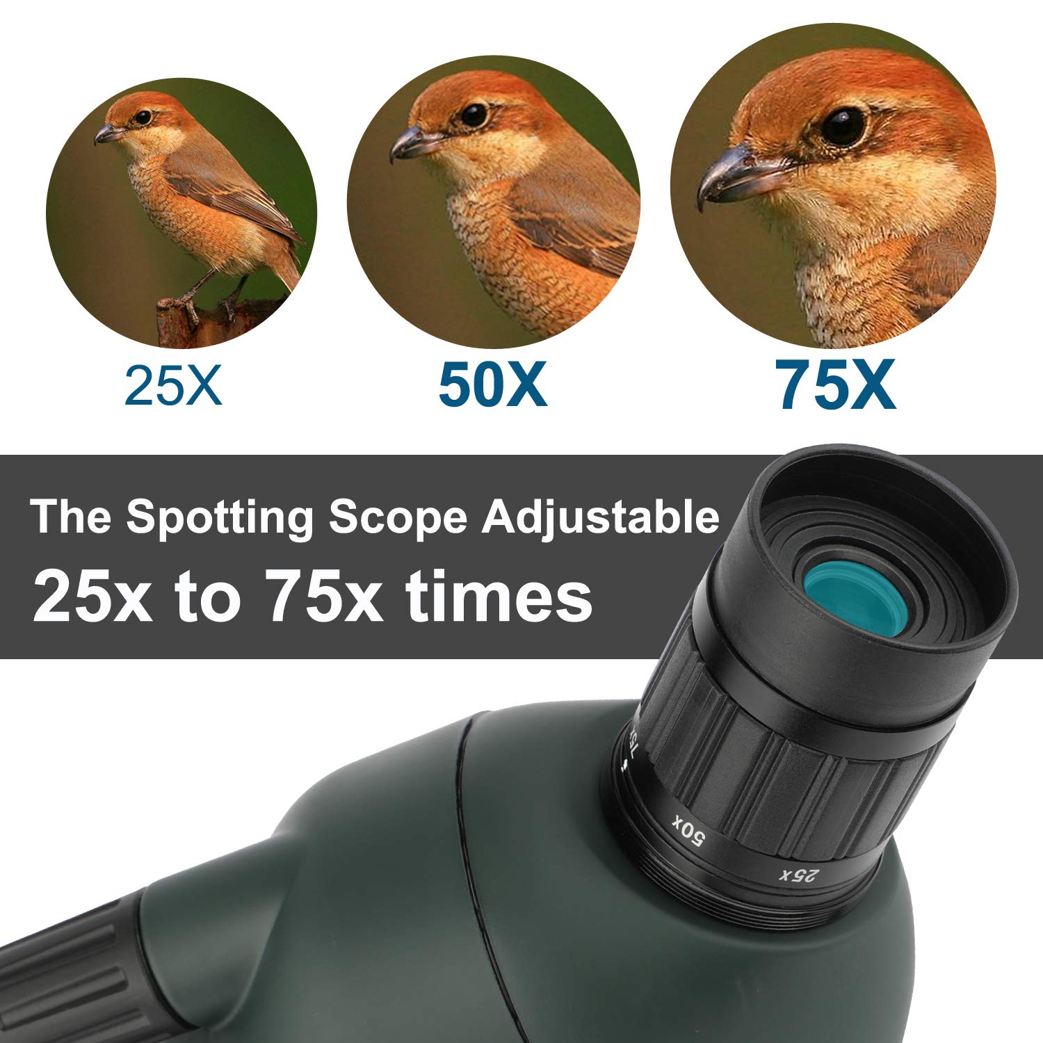 Longue-Vue Telescope 25-75x70 HD - Étanche Avec Trépied Pour Observation Nature