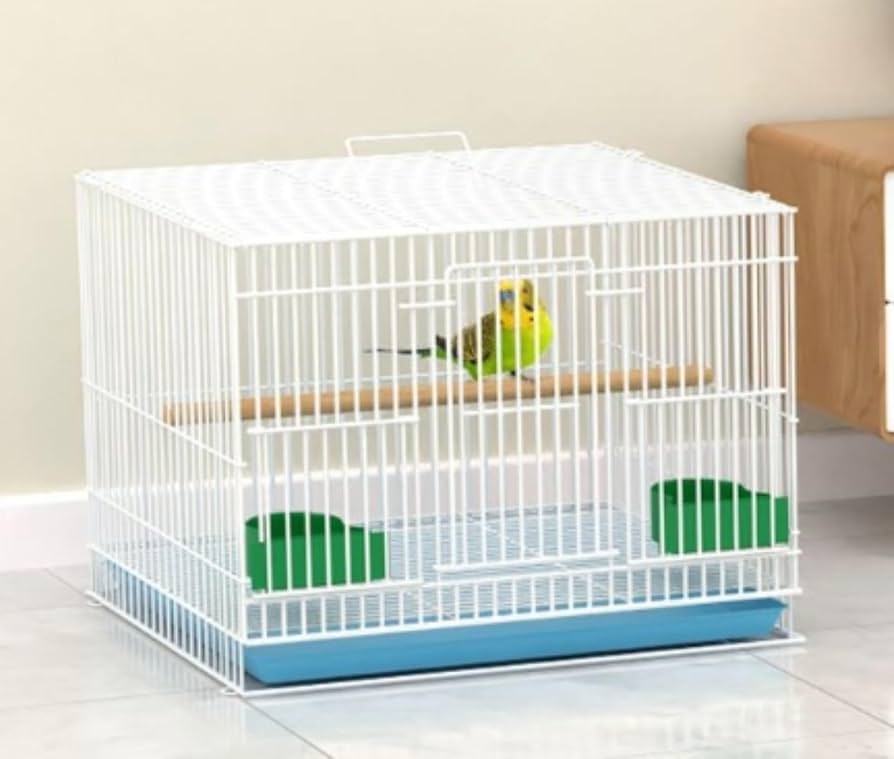 ステンレス製　中型大型インコ用　鳥かご　ケージ Amazon | 50*40*60CM 304ステンレス鋼 鳥かご 前面強化ガラス