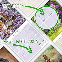 Vista 258 de Razas de Perros 2017