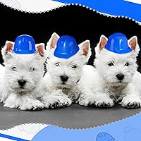 Vista 5 de Sratte 25 piezas de sombrero de construcción en miniatura, mini juguetes de construcción, sombreros de plástico para decoración de botellas