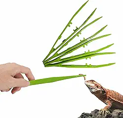 Conjunto de 4 pinças de alimentação para répteis – Pinças verdes antiderrapantes higiênicas para dragões barbudos, lagartos, cobras, aquários e pequenos animais