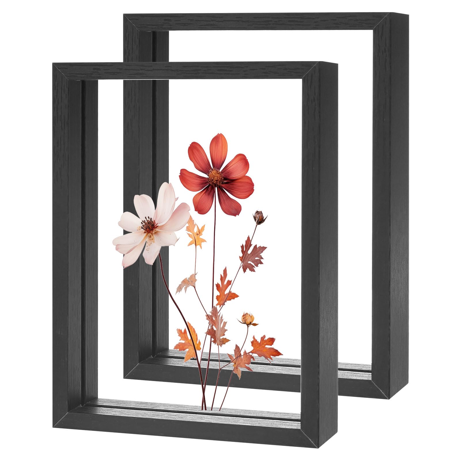 M METERXITY 2-Pack Pressed Flower Frame 5 x 7 Inch Wooden, Black