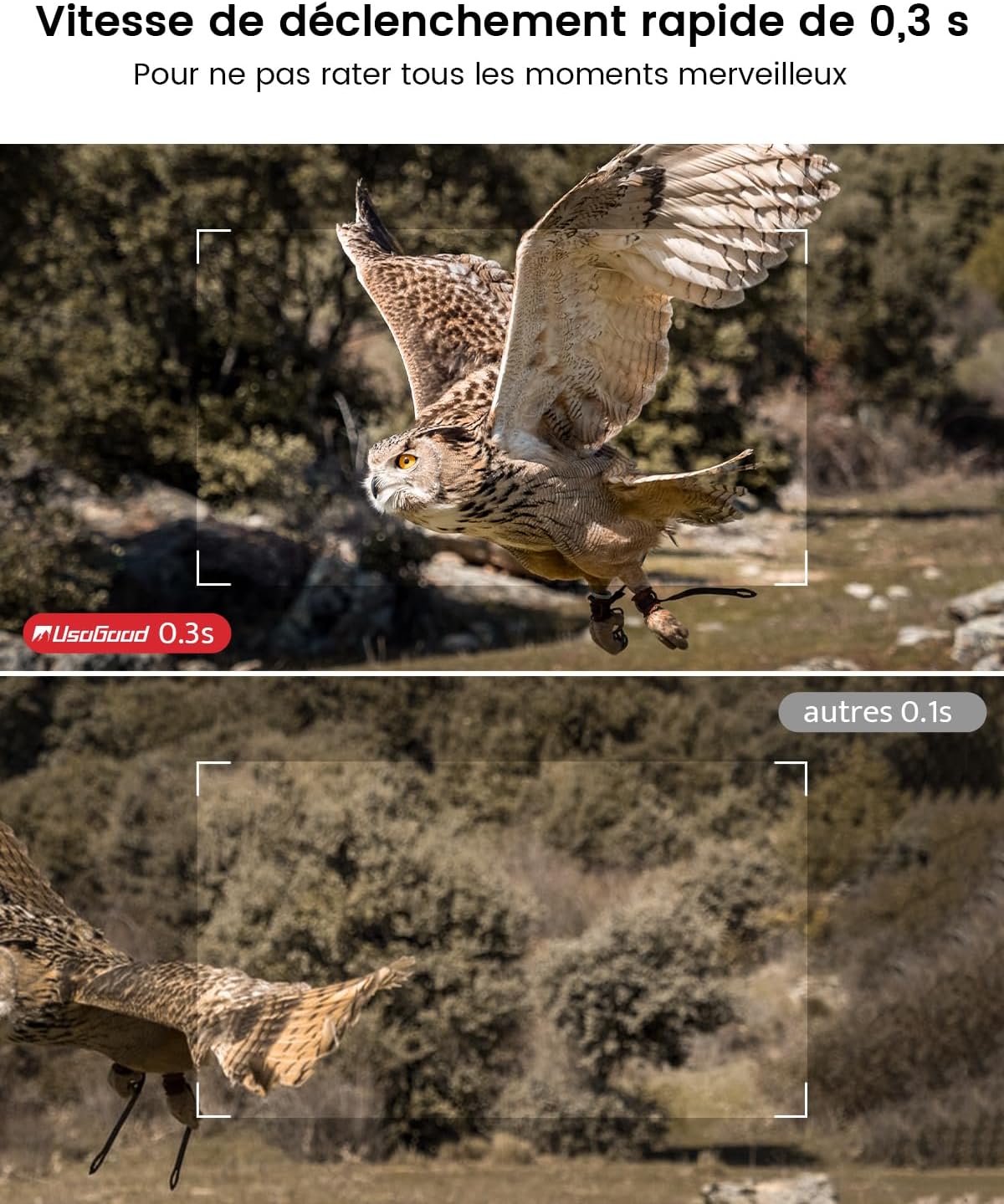 usogood TC30 Trail Camera mounted on a tree, highlighting its IP66 waterproof rating and robust casing