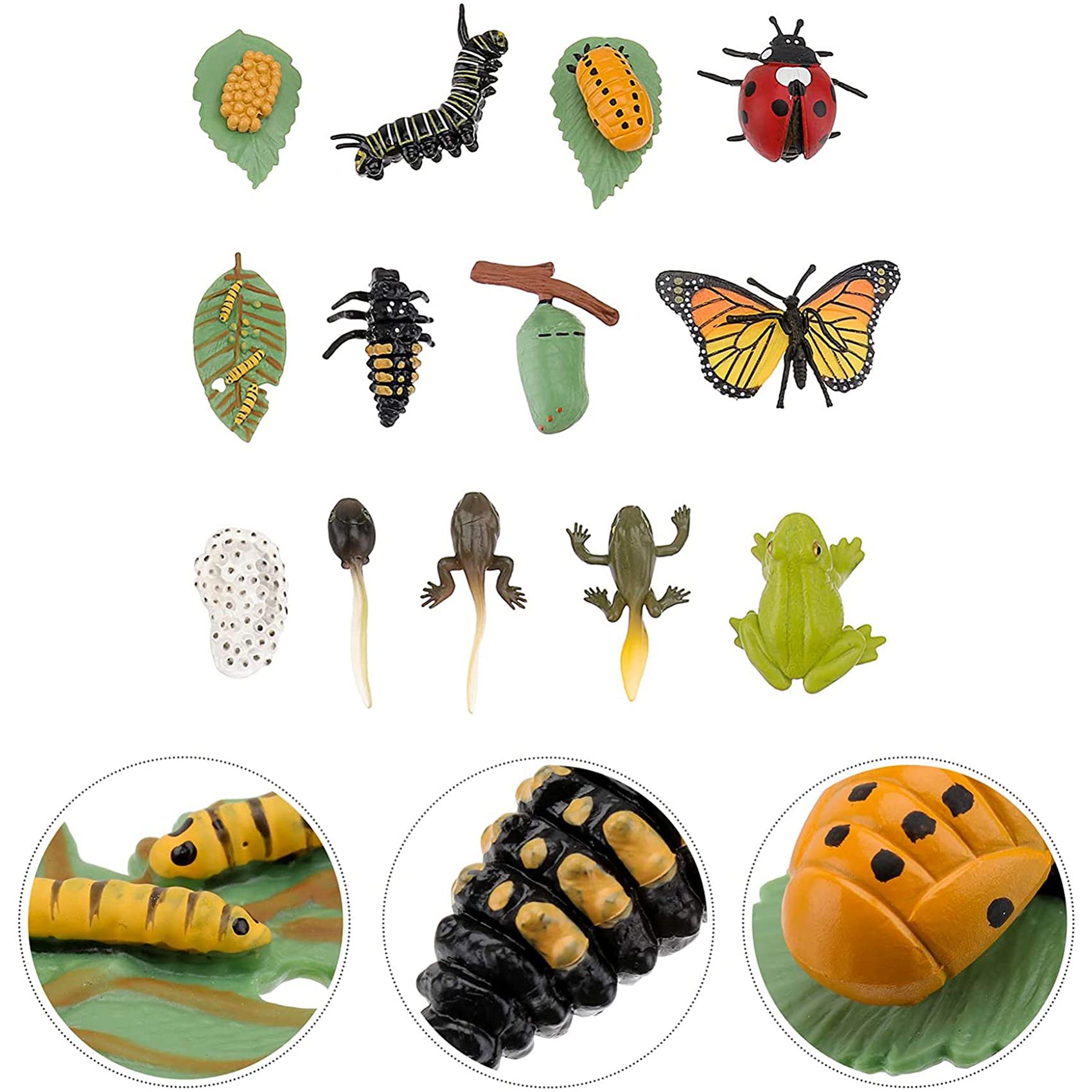 3 SäTze Insekten Figuren Lebens Zyklus Von Schmetterlings Marien Safariologie Wachstums Zyklus Modell Bildung Spielzeug